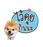 Fhew Chokchai 4 talk cute version 2（個別スタンプ：28）