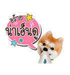 Fhew Chokchai 4 talk cute version 2（個別スタンプ：30）