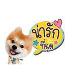 Fhew Chokchai 4 talk cute version 2（個別スタンプ：39）