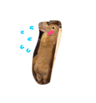 うさぎは表情豊かです（個別スタンプ：28）