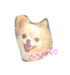 ひめの顔（個別スタンプ：4）