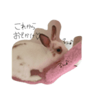 うさぎの琥珀（個別スタンプ：5）