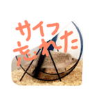 我が家のハリネズミ、にぼしさん（個別スタンプ：8）