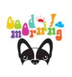 French Bulldog FRENCHIE Jr.（個別スタンプ：1）