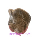 デグーのネズー（個別スタンプ：1）