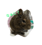 デグーのネズー（個別スタンプ：3）