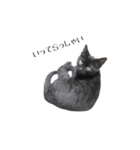 黒猫のジッくん（個別スタンプ：2）