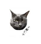 黒猫のジッくん（個別スタンプ：9）