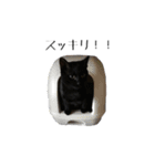 黒猫のジッくん（個別スタンプ：13）