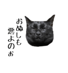 黒猫のジッくん（個別スタンプ：22）