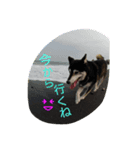 バロンとサリー（個別スタンプ：4）