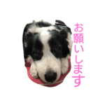 バロンとサリー（個別スタンプ：5）