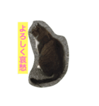 港町のまる その1（個別スタンプ：1）