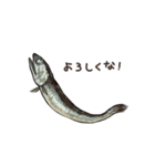 生きているようで死んでいるにぼし。（個別スタンプ：2）