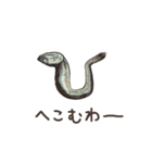 生きているようで死んでいるにぼし。（個別スタンプ：16）