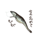 生きているようで死んでいるにぼし。（個別スタンプ：25）