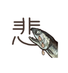 生きているようで死んでいるにぼし。（個別スタンプ：27）