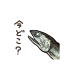 生きているようで死んでいるにぼし。（個別スタンプ：33）