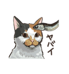 生きているようで死んでいるにぼし。（個別スタンプ：37）