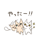 そんなことよりお魚ください4（個別スタンプ：5）