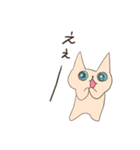 そんなことよりお魚ください4（個別スタンプ：11）