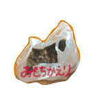 マイ ニャンコ（個別スタンプ：7）