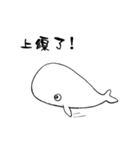 small whale（個別スタンプ：9）