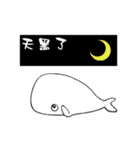 small whale（個別スタンプ：16）