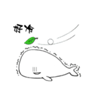 small whale（個別スタンプ：18）