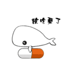small whale（個別スタンプ：21）
