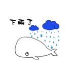 small whale（個別スタンプ：22）