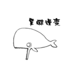small whale（個別スタンプ：31）