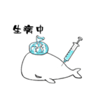 small whale（個別スタンプ：34）