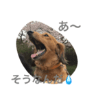 LeoMaroCocoLoca（個別スタンプ：8）