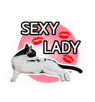 Pipo : I like to eat lizard.（個別スタンプ：2）