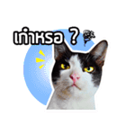 Pipo : I like to eat lizard.（個別スタンプ：3）