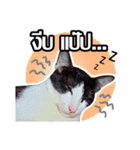 Pipo : I like to eat lizard.（個別スタンプ：4）