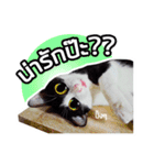 Pipo : I like to eat lizard.（個別スタンプ：7）