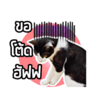 Pipo : I like to eat lizard.（個別スタンプ：14）