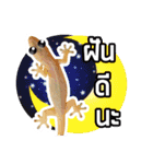 Pipo : I like to eat lizard.（個別スタンプ：18）
