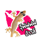 Pipo : I like to eat lizard.（個別スタンプ：22）