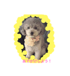 momoにっき 3（個別スタンプ：2）