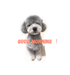 momoにっき 3（個別スタンプ：3）