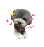momoにっき 3（個別スタンプ：4）