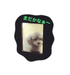 momoにっき 3（個別スタンプ：6）