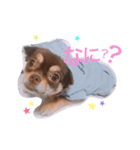 こころのスタンプ（個別スタンプ：5）