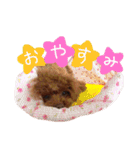 わたしのココアちゃん♡（個別スタンプ：2）