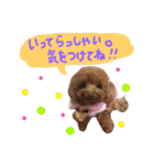 わたしのココアちゃん♡（個別スタンプ：3）