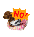 わたしのココアちゃん♡（個別スタンプ：10）