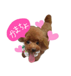 わたしのココアちゃん♡（個別スタンプ：11）